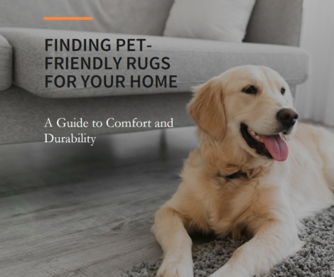 Finding pet friendly rugs for your home 