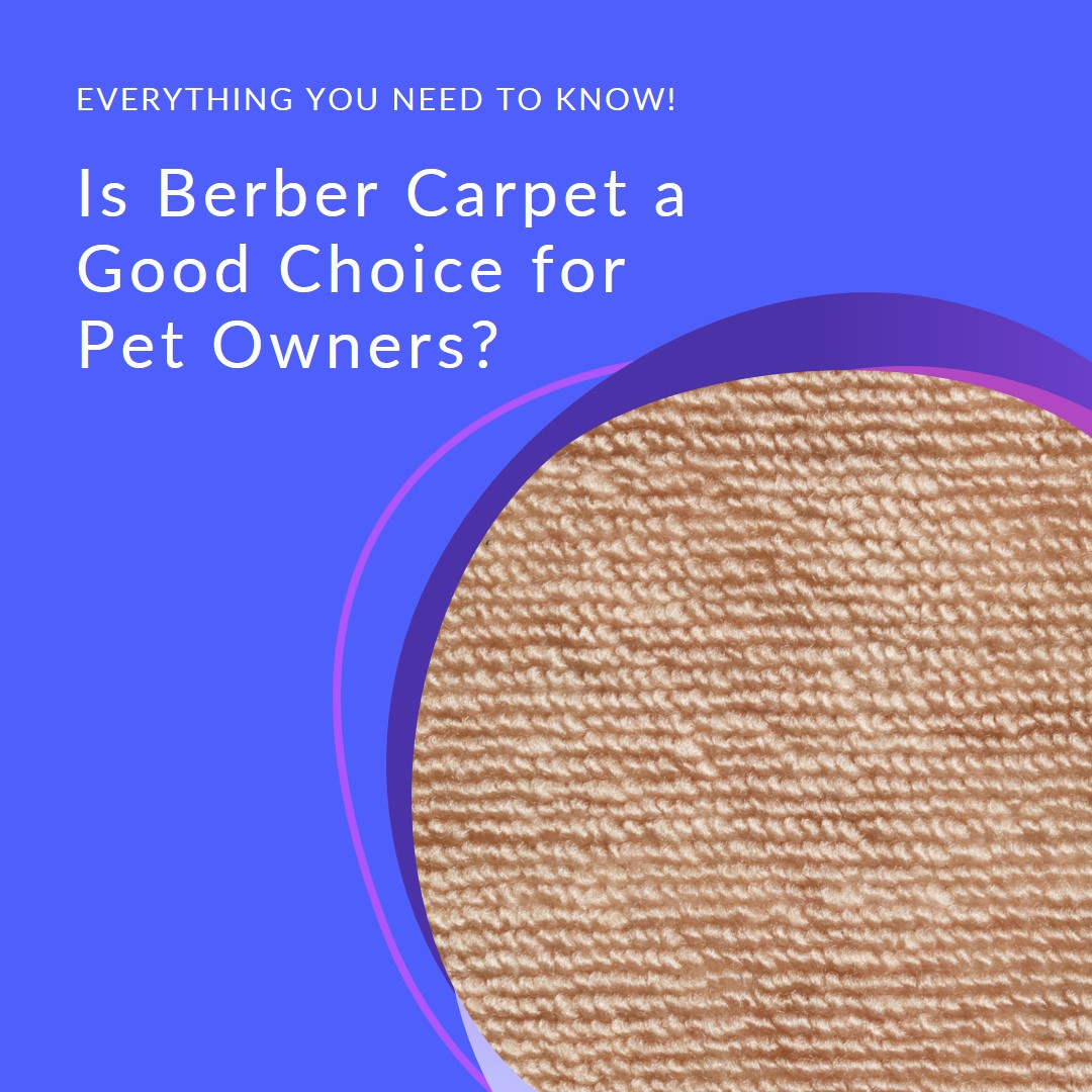 Is Berber Carpet a Good Choice for Pet Owners? Everything You Need to Know!
