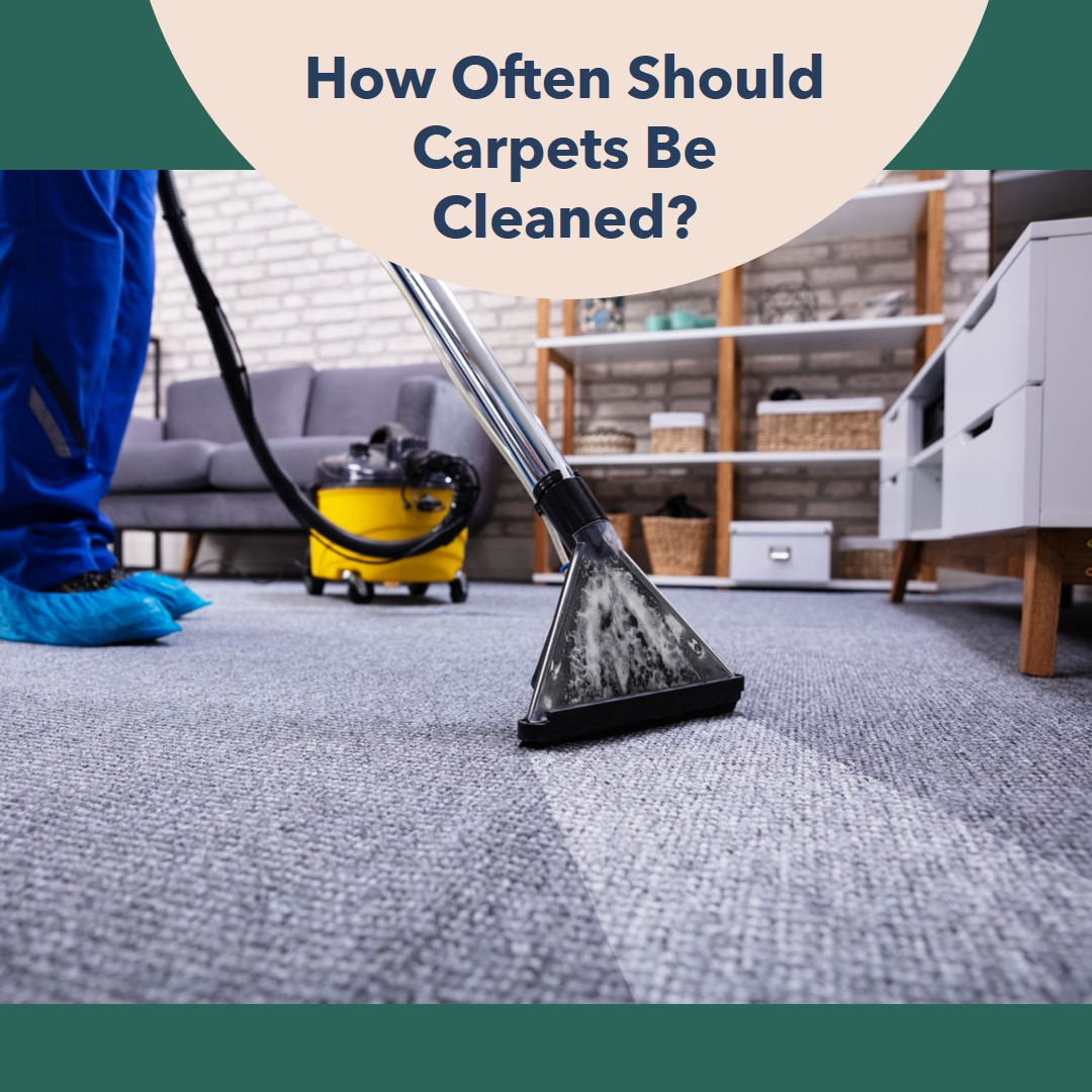 how often should carpet be cleaned?