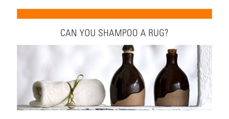 Can You Shampoo a Rug? Everything You Need to Know