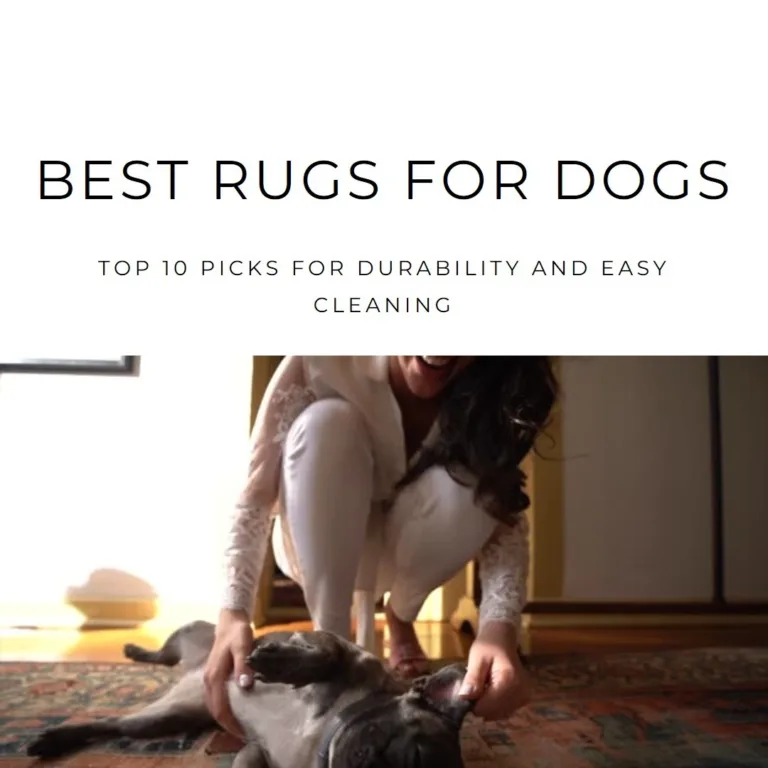 Best Rugs for Dogs: Top 10 Picks for Durability and Easy Cleaning